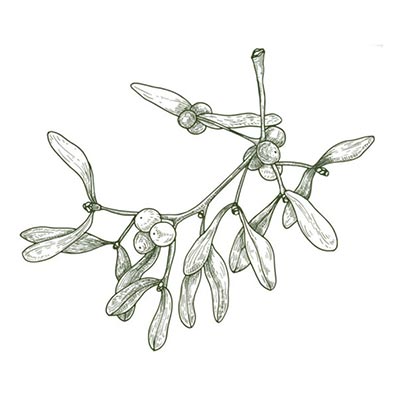 Terapeutikum